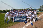 Baseball vs Babson  Wheaton College Baseball players celebrate their victory over Babson to win the NEWMAC Championship for the third year in a row. - (Photo by Keith Nordstrom) : Wheaton, baseball, NEWMAC